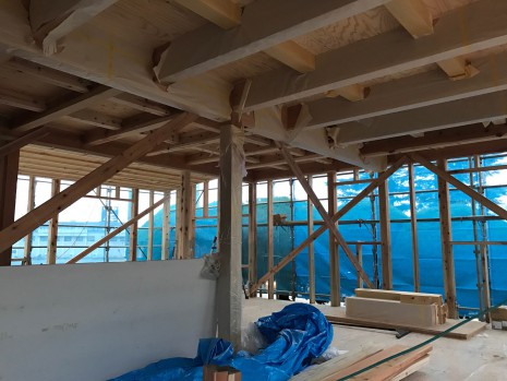 24c4b4a9-e581-46eb-9af1-e5b966848da6