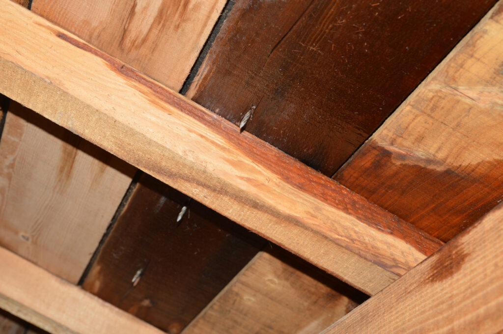 雨漏りしている様子