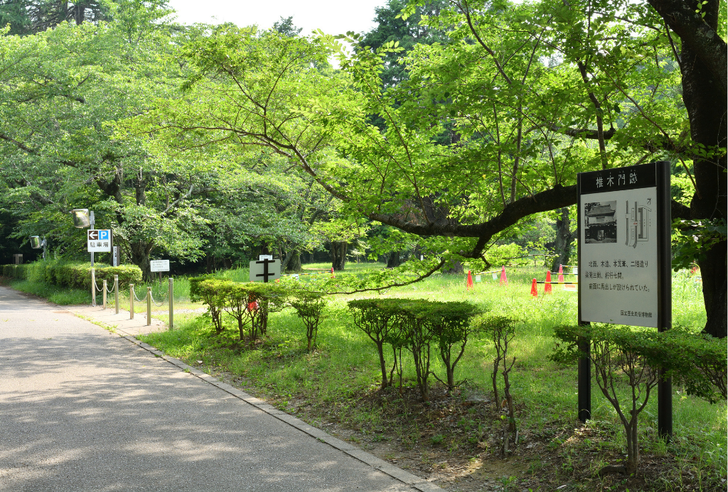 ユーカリが丘は子育て世帯が長く暮らせるよう計画された街