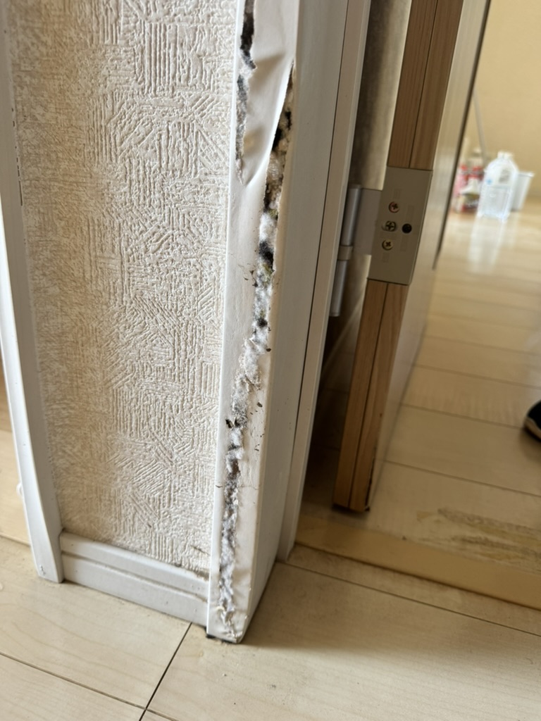 浸水したお宅のドア枠に出たカビ