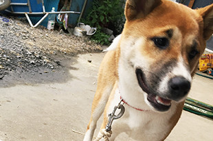 その他写真2